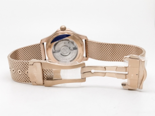 Seamaster 300m 210.90.42.20.01.003 Bronze Gold RG/RG Black VSF A8806