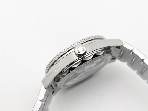 Seamaster 300 Heritage SS/SS Black VSF A8912