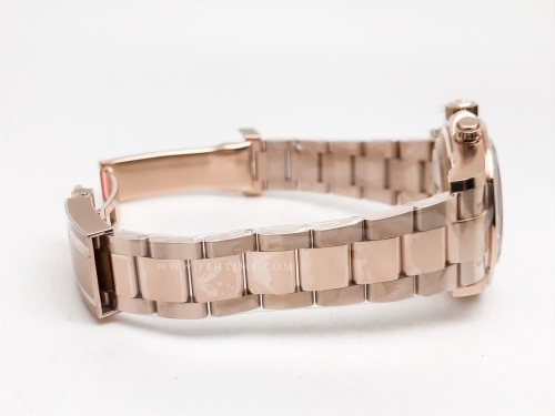 Daytona 126505 RG/RG Brn/Stk THB SH4131-2