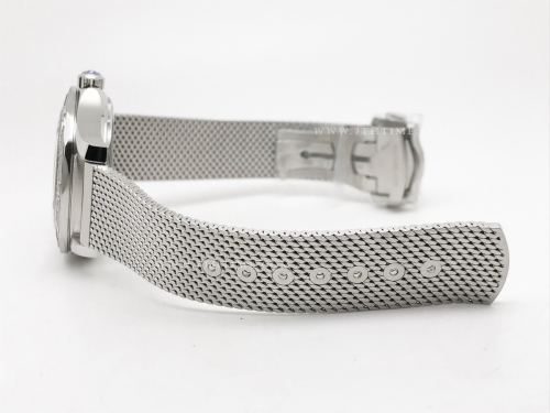 Seamaster 300m 210.30.42.20.06.002 Silver Surfer SS/SS Silv VSF A8806