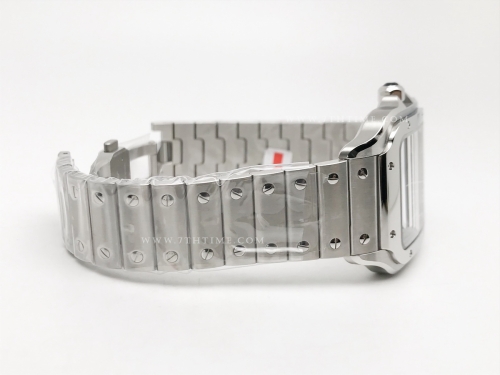 Santos De Cartier 2018 Mens XL SS/SS Brown BVF MY9019