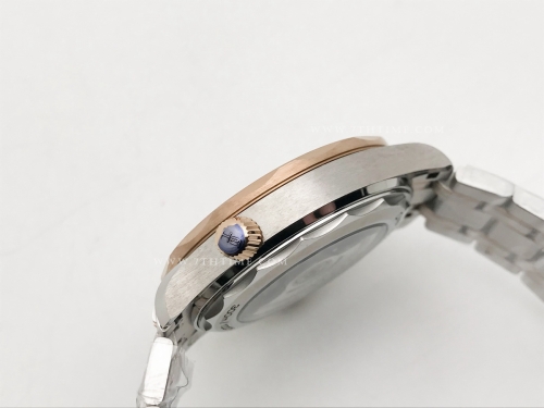 Seamaster 300m RG/SS Black BLS Asia 8800