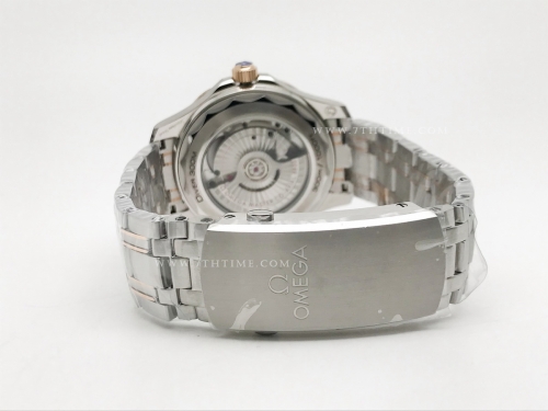 Seamaster 300m RG/SS Black BLS Asia 8800