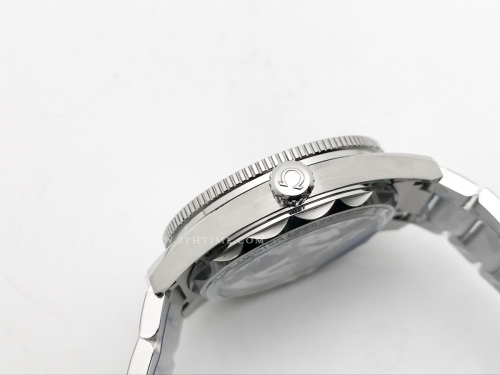 Seamaster 300 Heritage SS/SS Blue VSF A8912