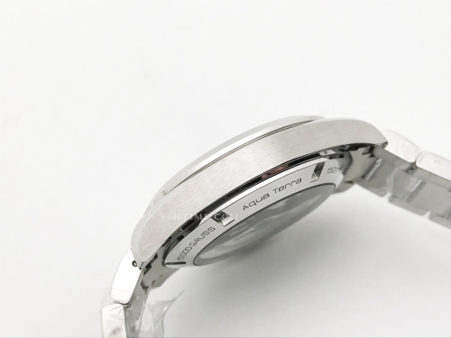 Aqua Terra 2015 41mm SS/SS Blk/Stk JVS A8508