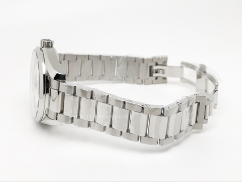 Aqua Terra 2015 41mm SS/SS S-Wht/SS JVS