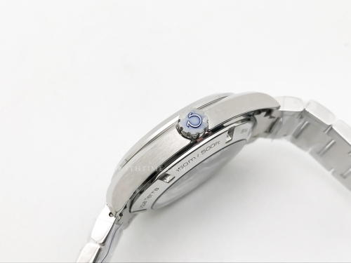 Aqua Terra 2015 41mm SS/SS S-Wht/SS JVS