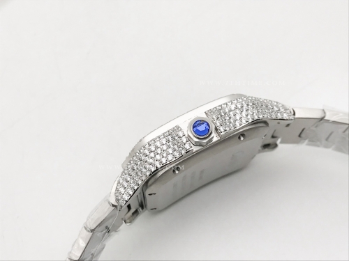 Santos 40mm Dia Dia/Dia Dia/MC-Ara TWF MY8215