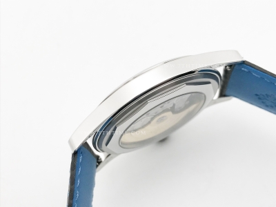 Calatrava 6007A SS/LE Blk/Blue PPF MY9015 Mod