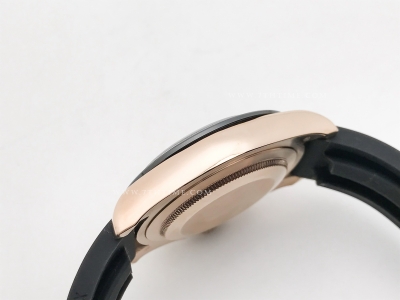 Daytona 116515 CER RG/RU White/Stk GDF A3836