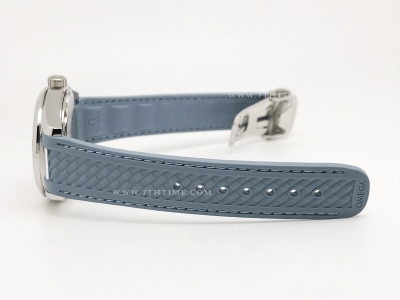 Aqua Terra SS/RU S-Blue A8F A2813