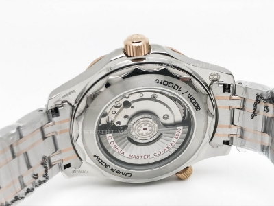 Seamaster 300m 2018 Blk RG/SS Black GDF MY8215