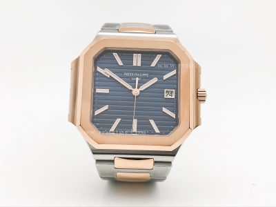 Cubitus 5821 RG/SS Blue/Stk PPF A330