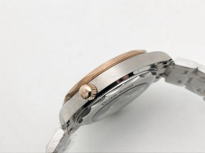 Seamaster 300m RG/SS Blue BLS Asia 8800