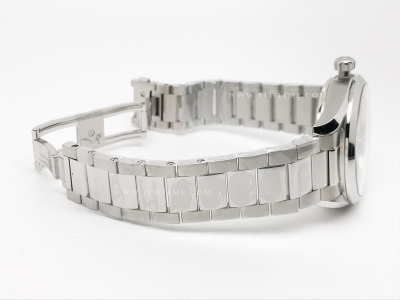 Aqua Terra 41mm SS/SS White Teak JVS A8900