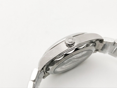 Aqua Terra 41mm SS/SS Grey Teak JVS A8900