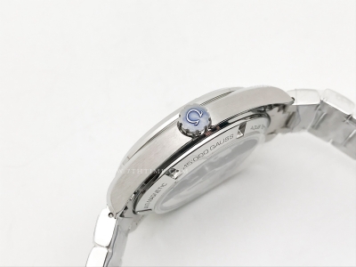 Aqua Terra 40mm SS/SS Blue Wavy/Gold JVS A8500