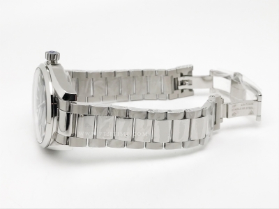 Aqua Terra 40mm SS/SS Blue Stripe JVS A8500