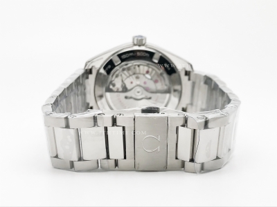 Aqua Terra 2015 41mm SS/SS S-Wht/SS JVS